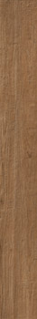 LNOT 2018BS RM 20x180