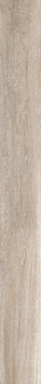 LEGNO 2018B RM 20x180