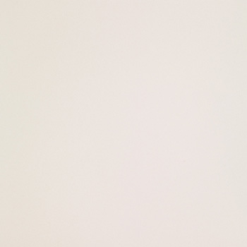 ICON WHITE 120 120x120