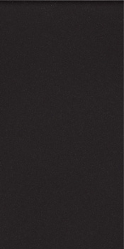 ICON BLACK 12 60x120