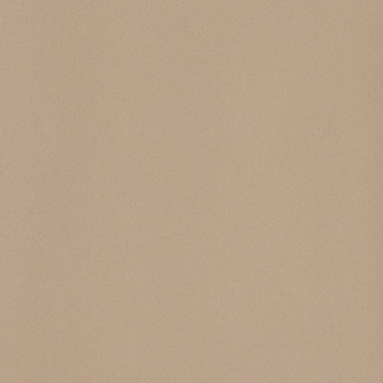 ICON BEIGE 120 120x120