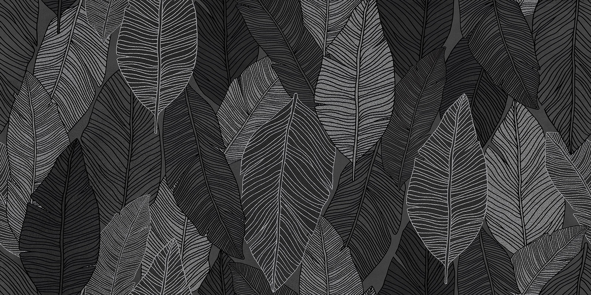 XILEMA6 12 60x120