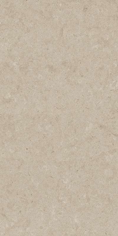 Cenia Grey