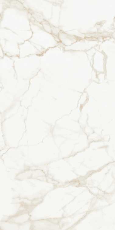 Marmo Calacatta Polished