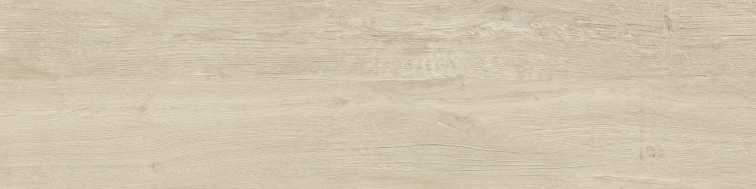 ELXR3012A ASRM 30x120
