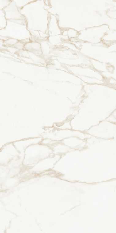Marmo Calacatta Polished