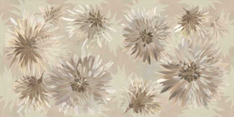 BLOOM6 12 RM 60x120
