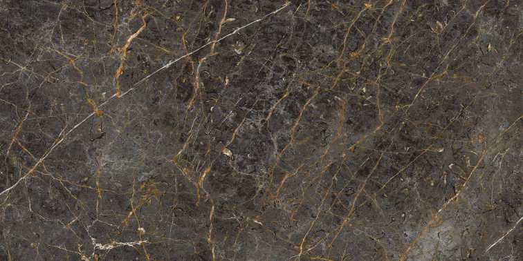 AE GOL6 12 LP 60x120