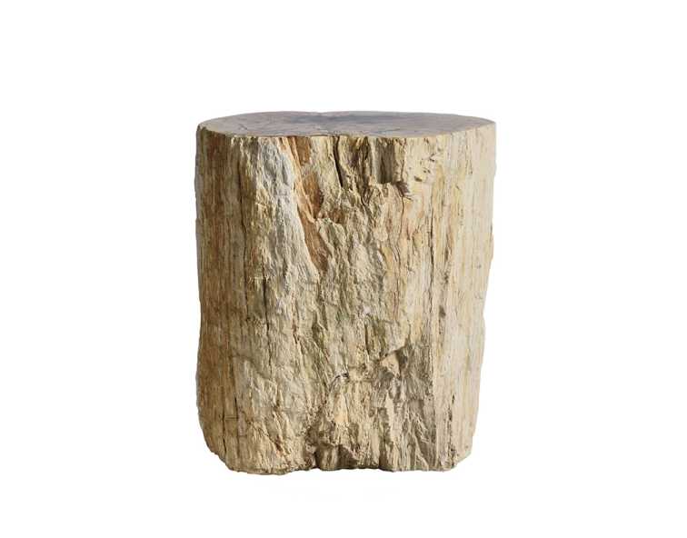 кофейный столик  из окаменелого дерева 46х34х42