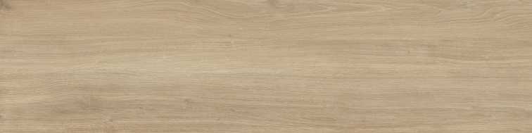 ELXR3012BS ASRM 30x120