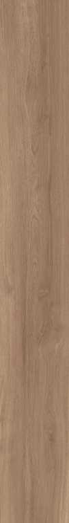 DAMA6 2015NO RM 20x150