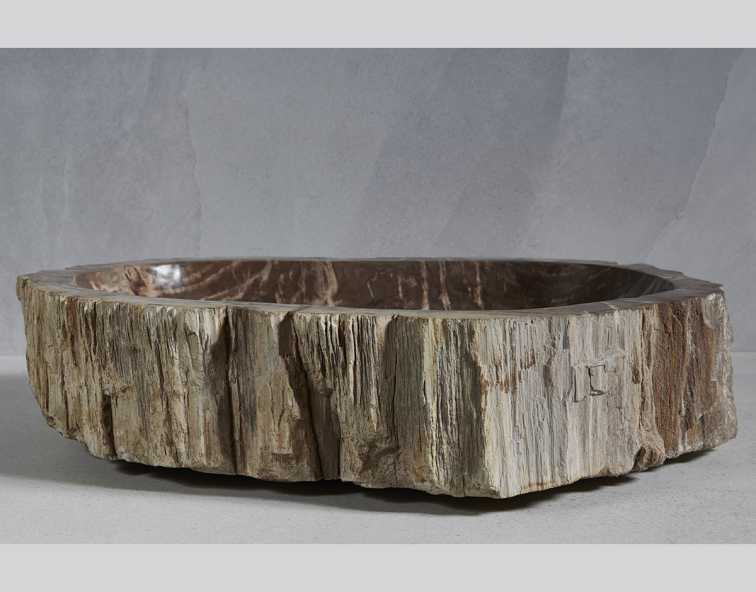 Раковина из окаменелого дерева 68x47x15