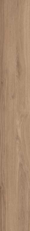 DAMA6 2015NO RM 20x150