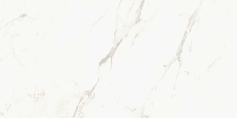 AE CAP6 12 LP 60x120