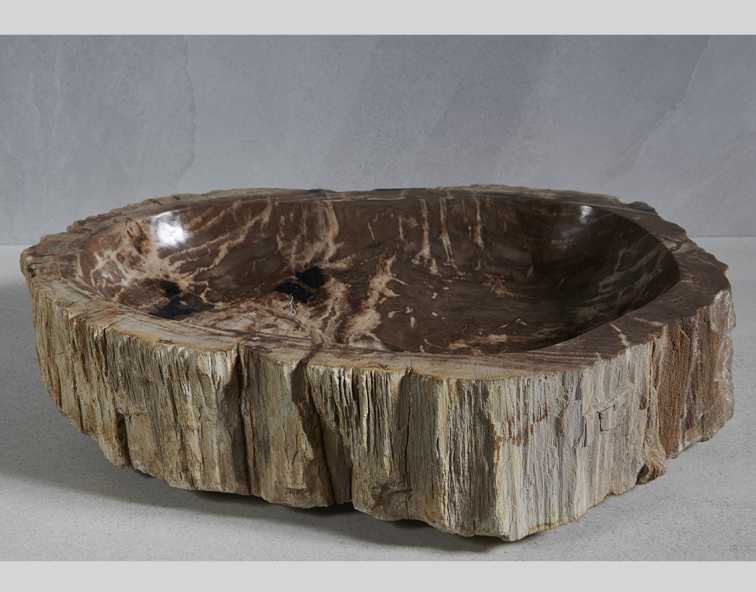 Раковина из окаменелого дерева 68x47x15