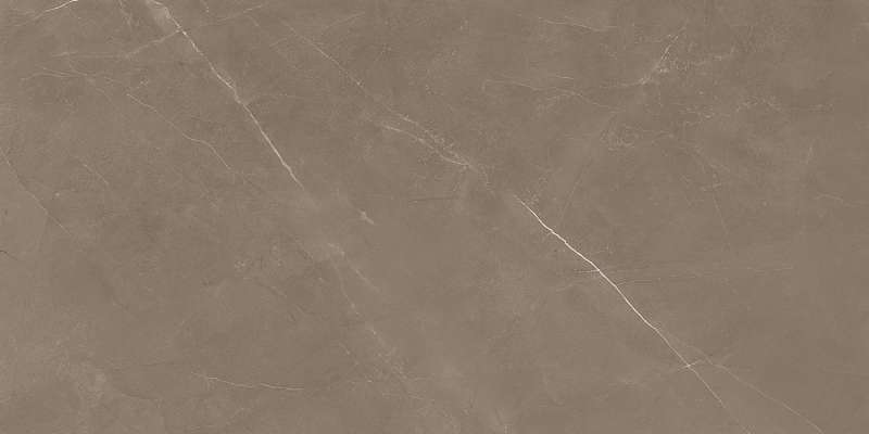 PIETRA ACTIVE GRAY 60X120