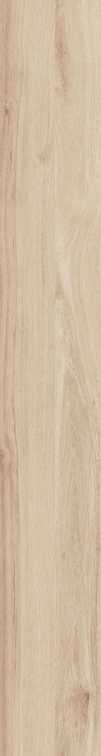 DAMA6 2015B RM 20x150
