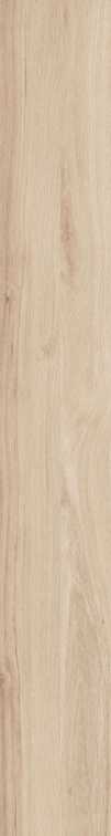DAMA6 2015B RM 20x150