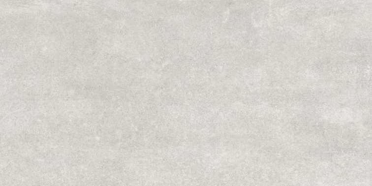 MODENA LIGHT GRAY MATT 60X120