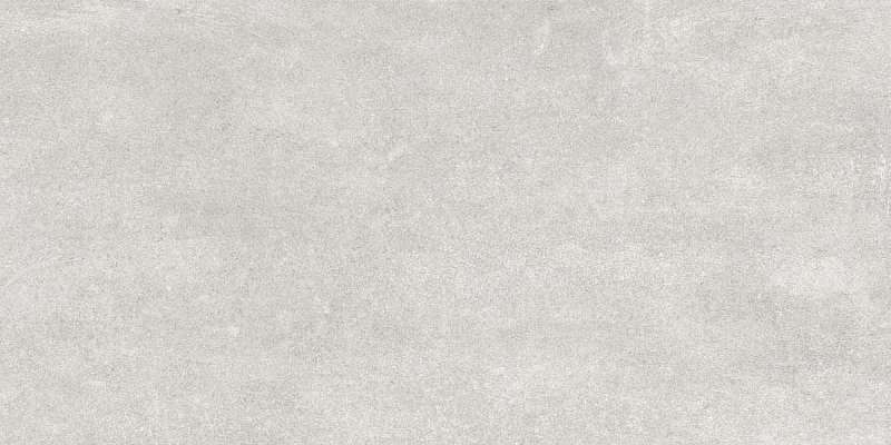 MODENA LIGHT GRAY MATT 60X120