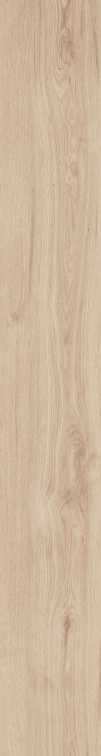DAMA6 2015B RM 20x150