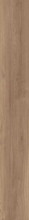 DAMA6 2015NO RM 20x150