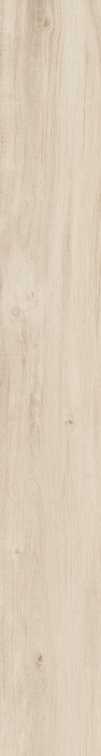 DAMA6 2015A RM 20x150