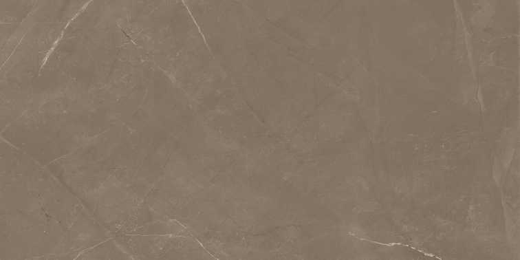 PIETRA ACTIVE GRAY 60X120