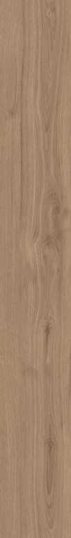 DAMA6 2015NO RM 20x150
