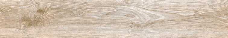 AYAN LATTE 19,5x120