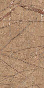 FOGOLD6 12 RM 60x120 Золотой