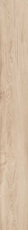 DAMA6 2015B RM 20x150