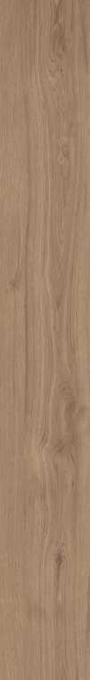 DAMA6 2015NO RM 20x150