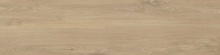 ELXR3012BS ASRM 30x120