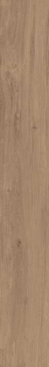 DAMA6 2015NO RM 20x150