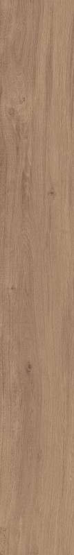 DAMA6 2015NO RM 20x150