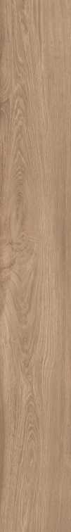 DAMA6 2015NO RM 20x150