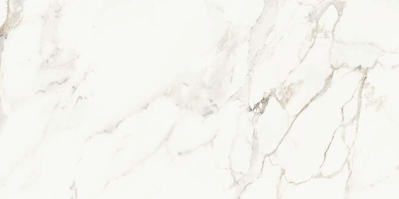 AE CAP6 12 LP 60x120 AE CAP6 12 LP 60x120
