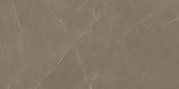 PIETRA ACTIVE GRAY 60X120