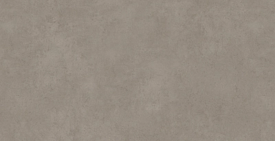 CALMA LIGHT GRAY 60X120