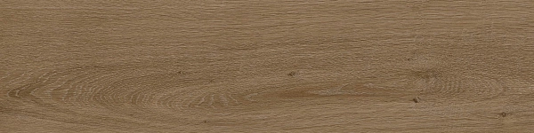 BAKU CASTANO 20х120